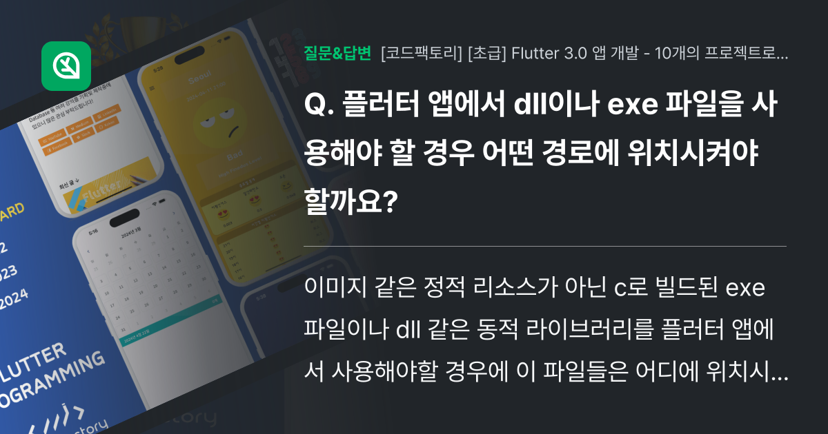 플러터 앱에서 dll이나 exe 파일을 사용해야 할 경우 어떤 경... - 인프런 | 커뮤니티 질문&답변