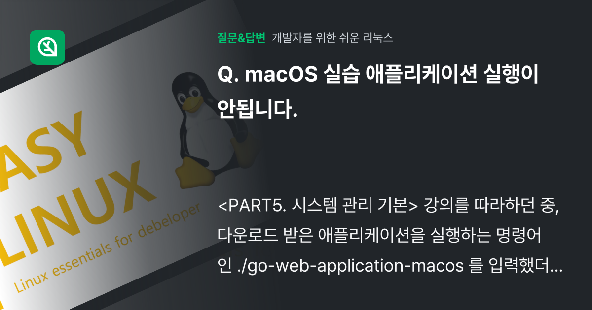 macOS 실습 애플리케이션 실행이 안됩니다. - 인프런 | 커뮤니티 질문&답변