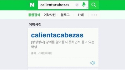 월 10만 원어치 영어 앱 끊고, AI 튜터로 바꿨더니 생긴 일