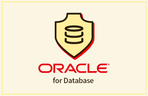 Thumbnail image of the 데이터베이스 오라클(Oracle)+PL/SQL [2025년 개정판]