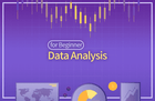 The easiest introduction to data analysis for non-majors thumbnail