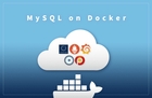 따라하며 배우는 MySQL on Docker