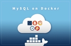 따라하며 배우는 MySQL on Docker 썸네일