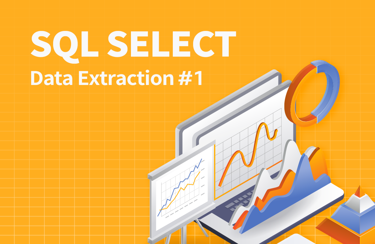 SELECT ALL FROM SQL 강의 이미지