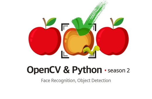 [OpenCV] 파이썬 딥러닝 영상처리 프로젝트 2 - 불량사과를 찾아라!강의 썸네일