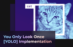 Thumbnail image of the Deep Learning Paper Implementation with YOLO Implementation with TensorFlow 2.0