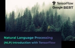 Thumbnail image of the 예제로 배우는 딥러닝 자연어 처리 입문 NLP with TensorFlow - RNN부터 BERT까지