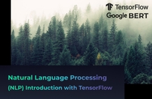 예제로 배우는 딥러닝 자연어 처리 입문 NLP with TensorFlow - RNN부터 BERT까지 썸네일