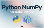 Thumbnail image of the 데이터 과학을 위한 파이썬 NumPy Basic