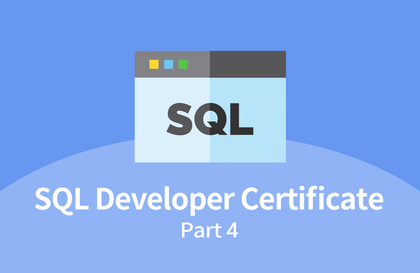 SQL 개발자 (SQLD) 자격증 따기 Part.4강의 썸네일