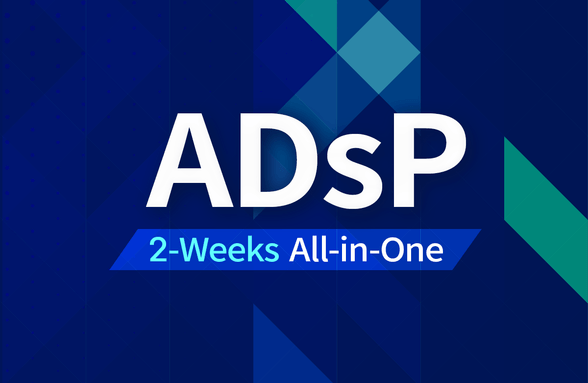 ADsP 2주 합격 올인원 패스썸네일