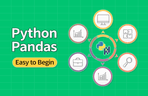 Thumbnail image of the 핵심만 빠르게, 입문자를 위한 파이썬(Python)과 판다스(Pandas)