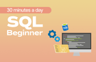 30 Minutes of SQL a Day for Beginners thumbnail