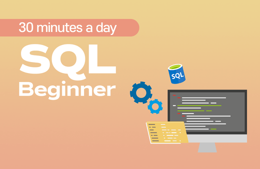 비기너를 위한 하루 30분 SQL강의 썸네일