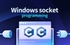 Windows 소켓 프로그래밍 입문에서 고성능 서버까지!썸네일