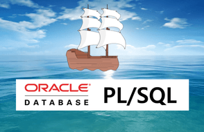 Oracle PL/SQL 딱 이만큼.. 썸네일