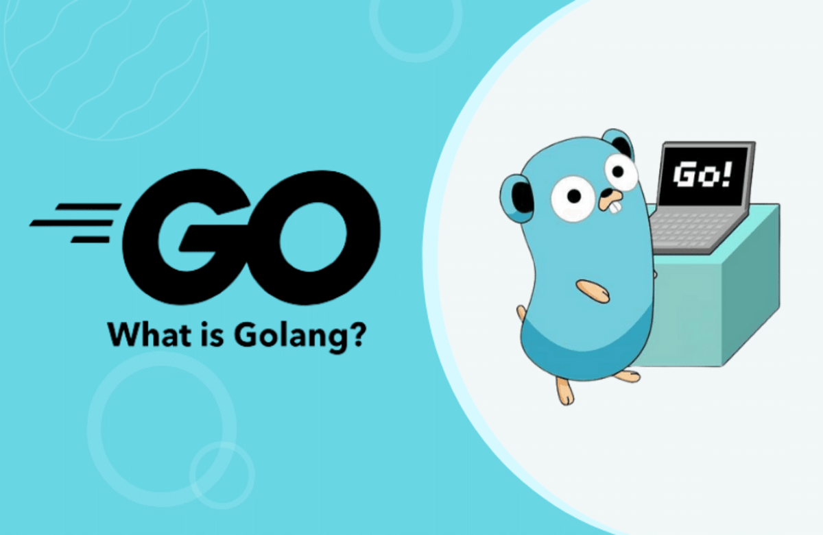 Golang을 통한 백엔드 개발 및 환경 구축하기