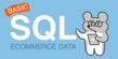 이커머스 데이터로 시작하는 SQL 데이터 분석 썸네일