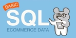 Thumbnail image of the 이커머스 데이터로 시작하는 SQL 데이터 분석