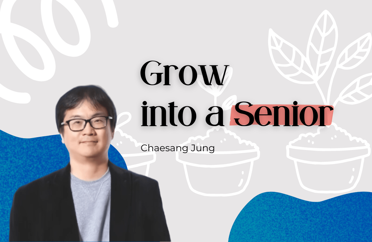 시니어 개발자로 성장하기