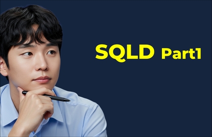 [2025]비전공자도 한 번에 합격하는 SQLD Part1강의 썸네일