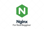 Thumbnail image of the 비전공자도 이해할 수 있는 Nginx 입문/실전