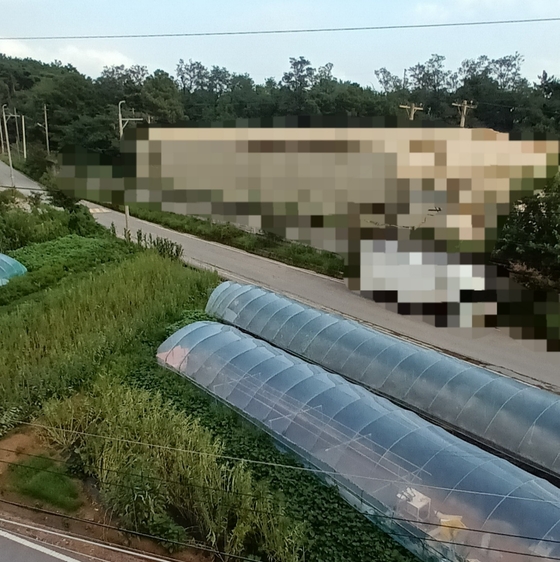 코딩하는카피바라