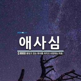 12. 내가 생각하는 애사심 [feat. 공감대 형성]
