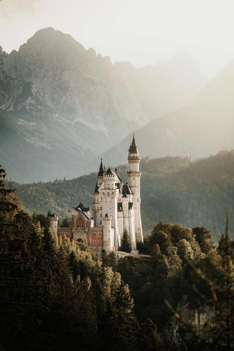 비트코인 칼럼] 당신의 자산은 분산되어 있나요? - 대니월드님의 블로그 - 인프런 | 커뮤니티