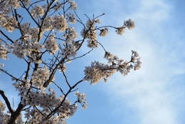 혼자 공부하는 컴퓨터 운영체제 part.1