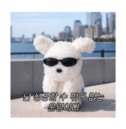 📑 자소서부터 막막한 취뽀 새내기들은 보아라 !!