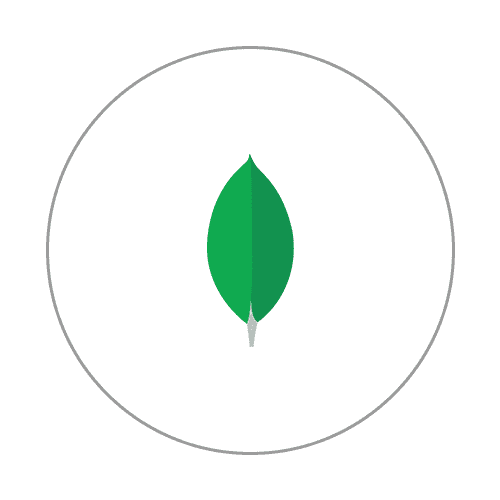 몽고db