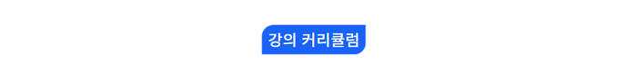 강의 커리큘럼