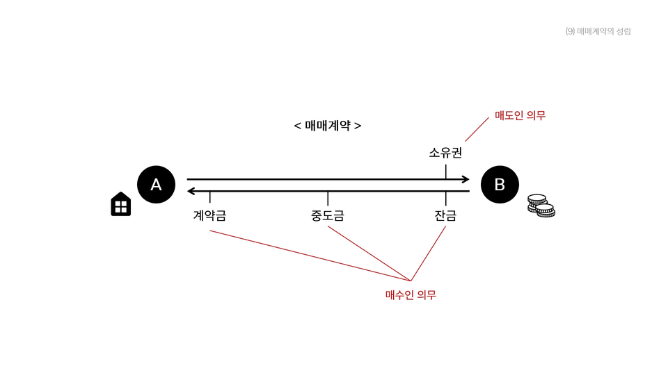 도식화 참고 사진