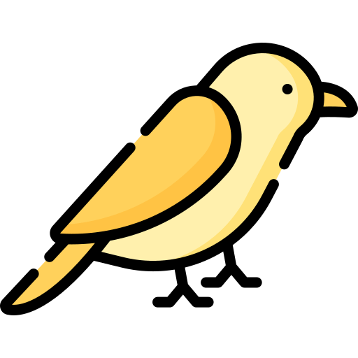 canary