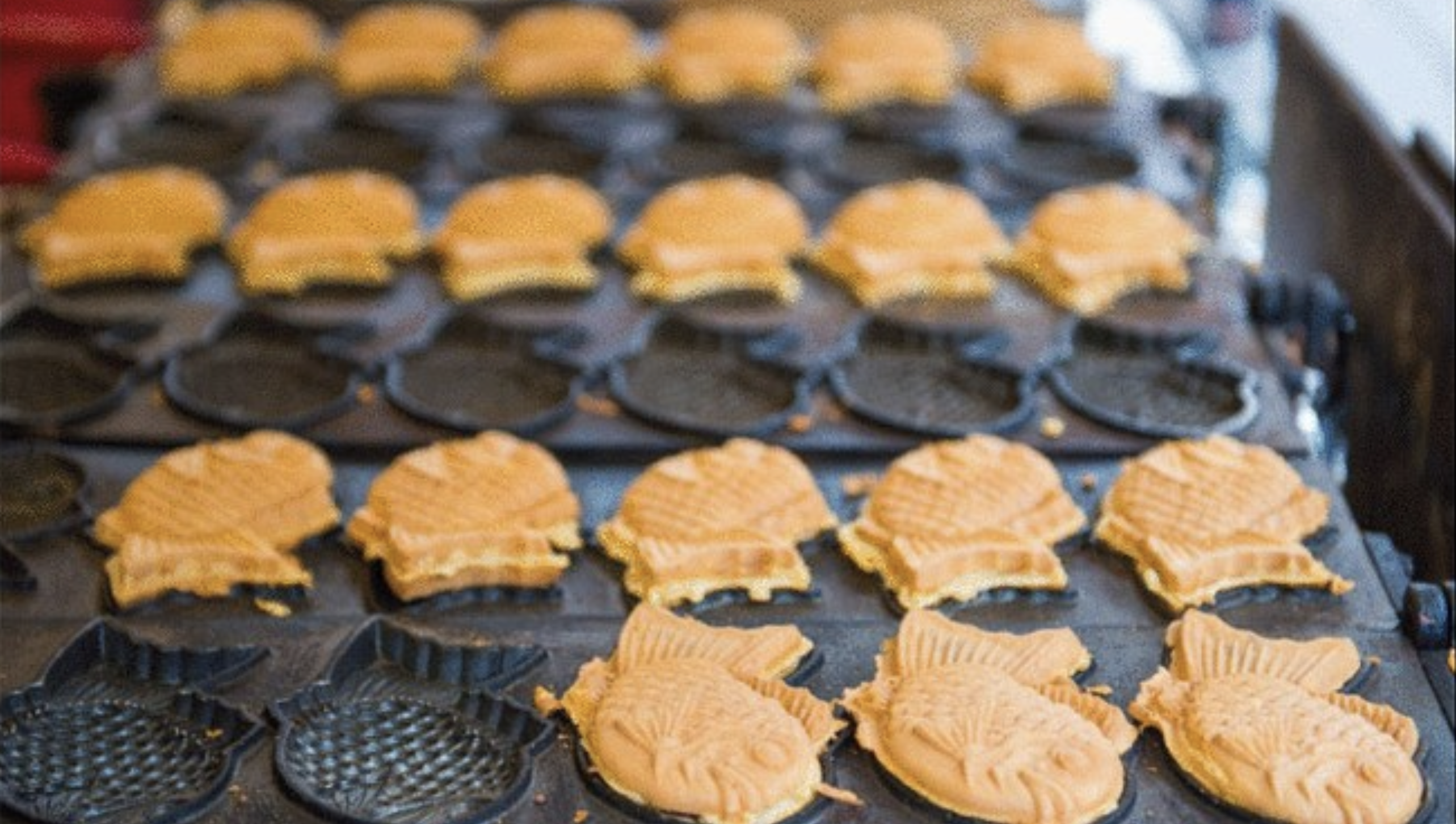 스크린샷 2024-11-08 오후 7.08.38