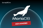 Thumbnail image of the MariaDB(MySQL)의 모든것 - 심화편