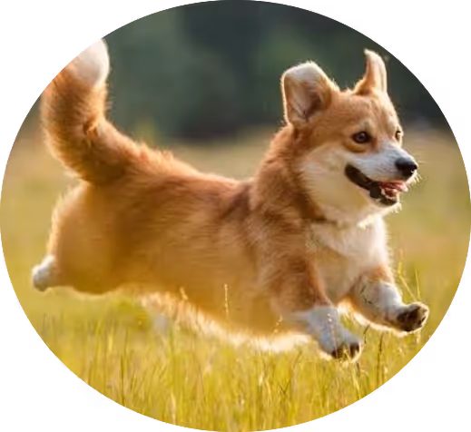 ㅙㅜㅎ