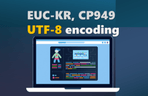 Thumbnail image of the Complete Mastery of Character Encoding That Makes You Work Overtime If You Don't Know It