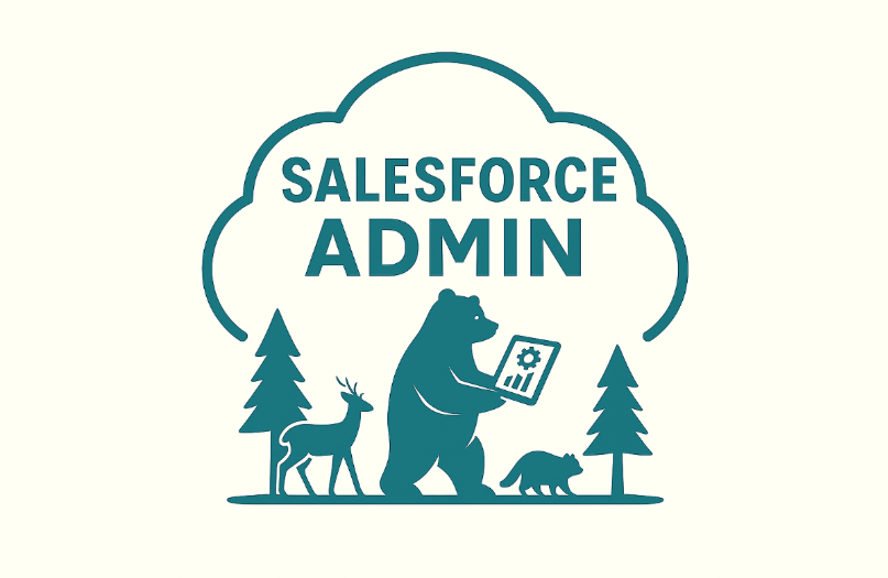 Salesforce Admin 실무자를 위한 입문 클래스