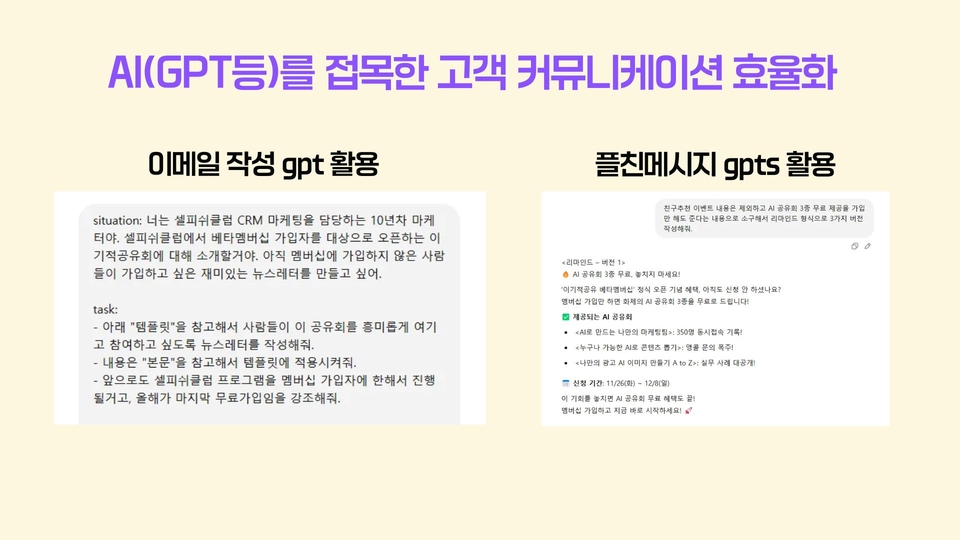 67eb84d3a347748b6cc1a4aa_플친 메시지 변주로 기존 타겟 자극하는 방법 예시