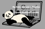 Thumbnail image of the 実務で通用するビッグデータ分析 - Pandas(パンダス) 実戦講義