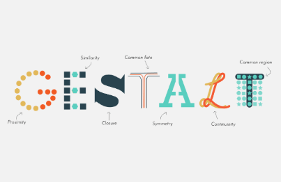 Design Sense? It's Not Innate. UX/UI Design Principles Engineered with 'Neuroscience'강의 썸네일