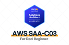 AWS SAA-C03 Certification Cram - Pass in Just 2 Weeks with Only 163 Questions thumbnail