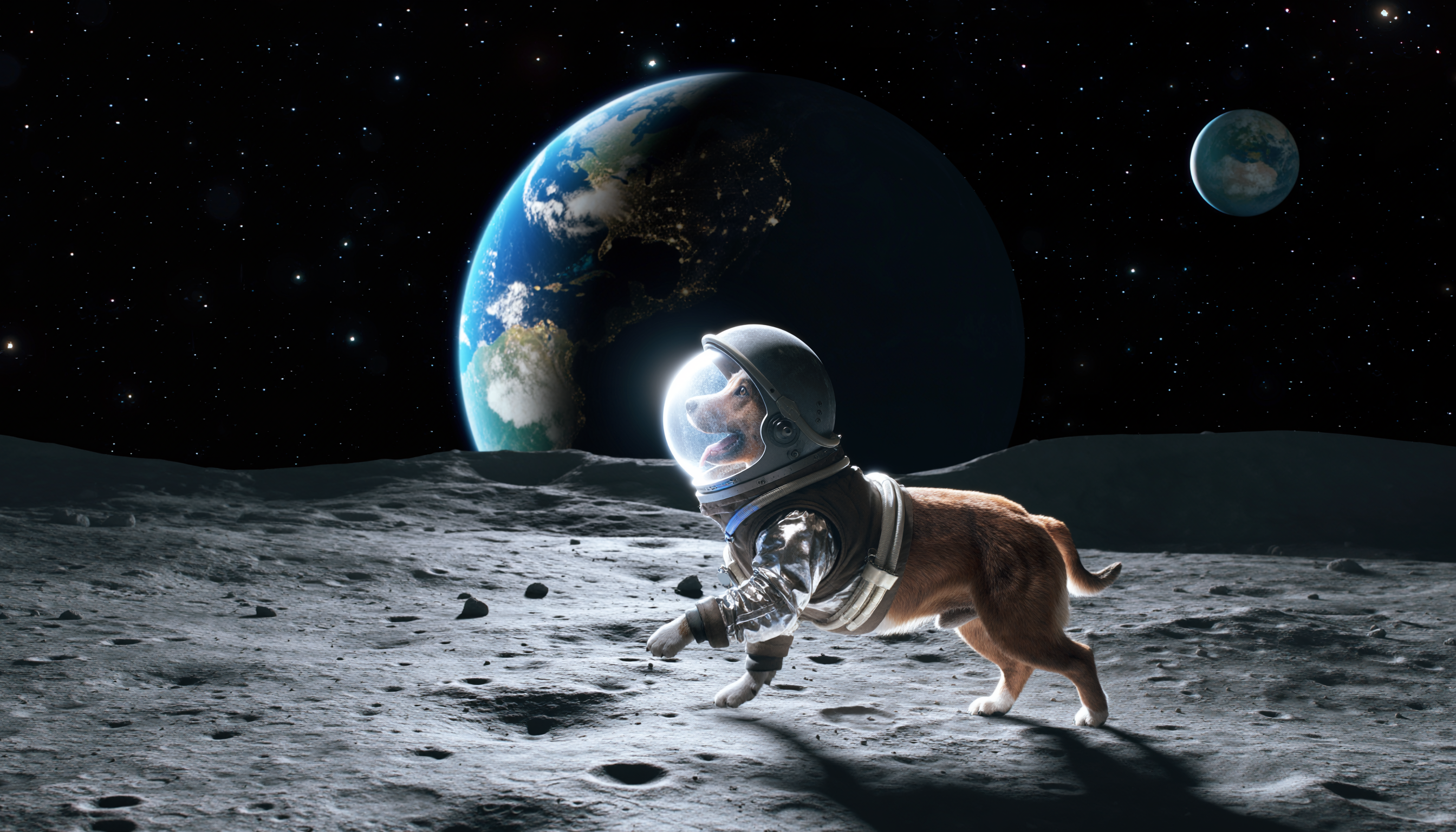 Firefly_강아지가 우주복을 입고 달 위를 걷는 모습 540396