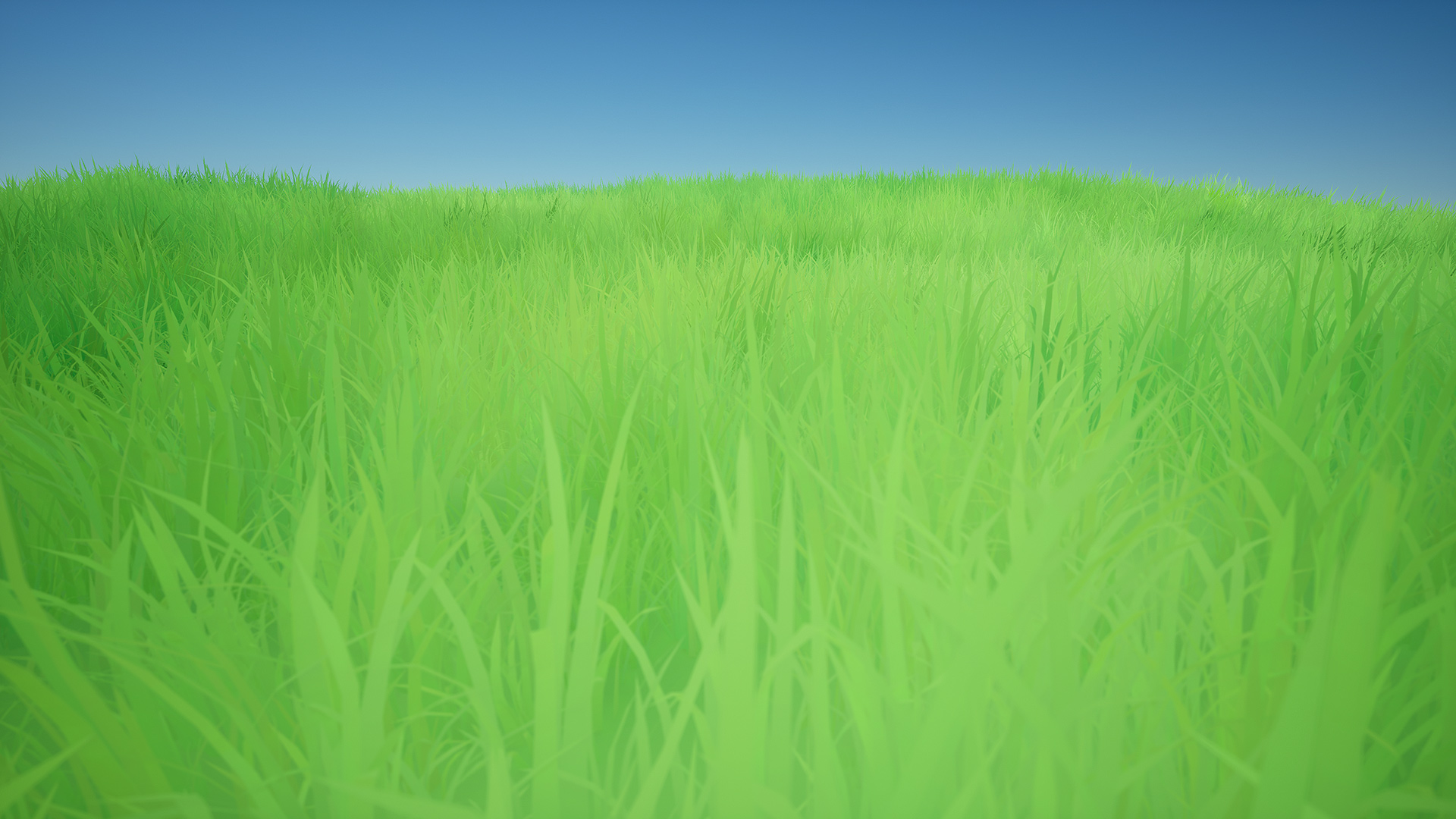 Grass