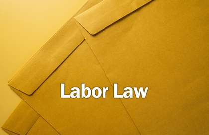 노란봉투법의 핵심, 실무 대응 가이드Course Thumbnail