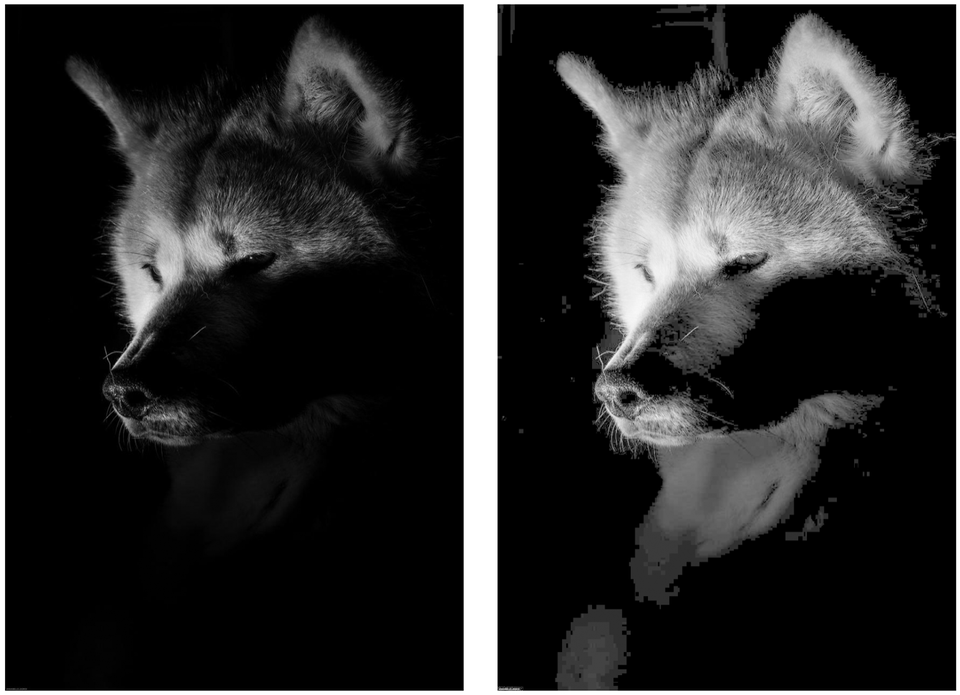 Monosnap Image Basics for Computer Vision.key 2026-05-02 22-39-38.png