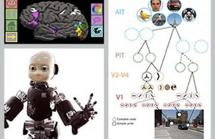Brains, Minds and Machines Summer Course강의 썸네일