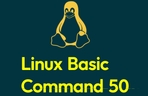 Thumbnail image of the 手で覚えるLinux基本コマンド50 - 実習中心のLinux入門